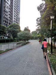 Blk 41A Skyoasis @ Dawson (Queenstown), HDB 3 Rooms #367756181
